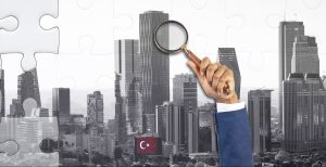 house sales in Turkey 