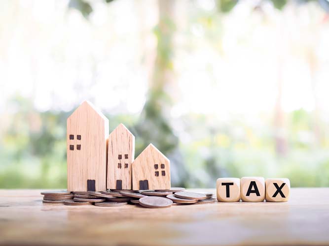 Annual property tax