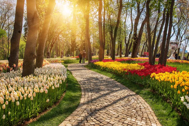 Istanbul tulip festival