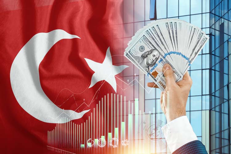 FDI in Turkey 