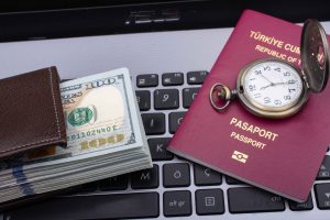 Turkish citizenship by foreign investment in Turkey