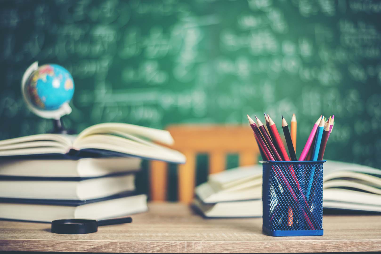 educational institutions in basaksehir district
