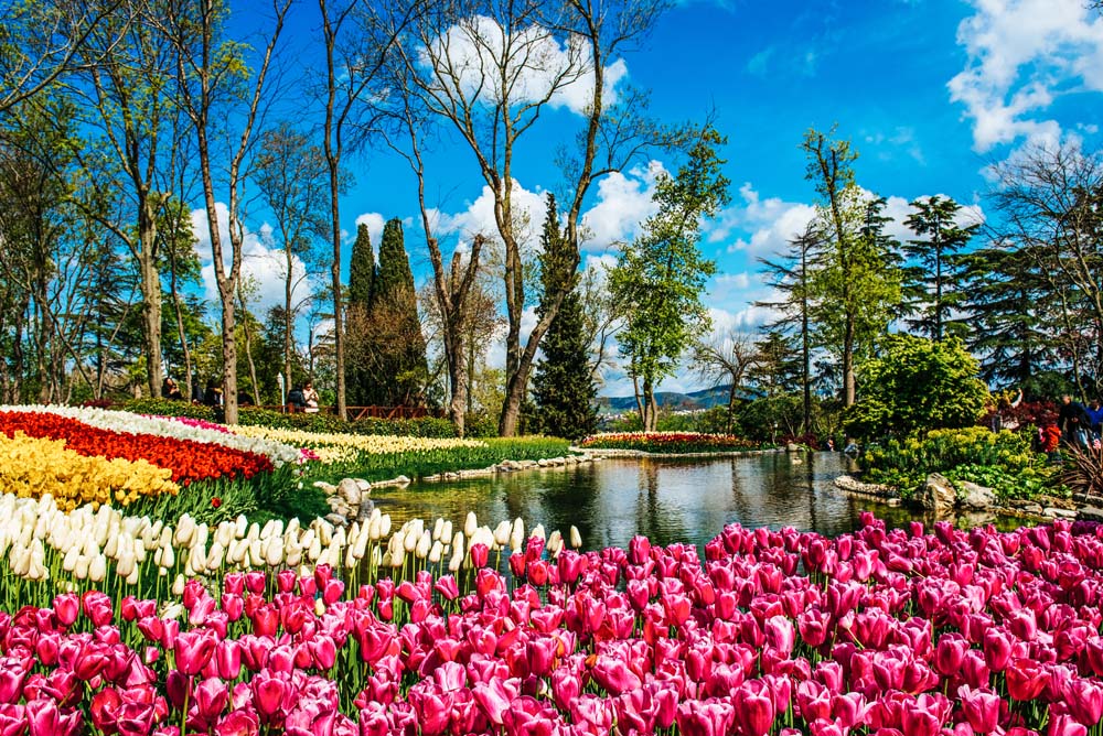 Istanbul Tulip Festival 2023 - MEO CONSULTANTS