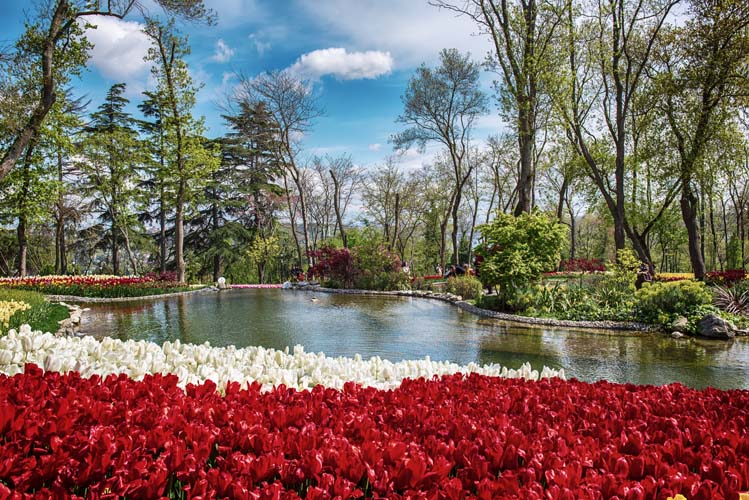 Emirgan park 