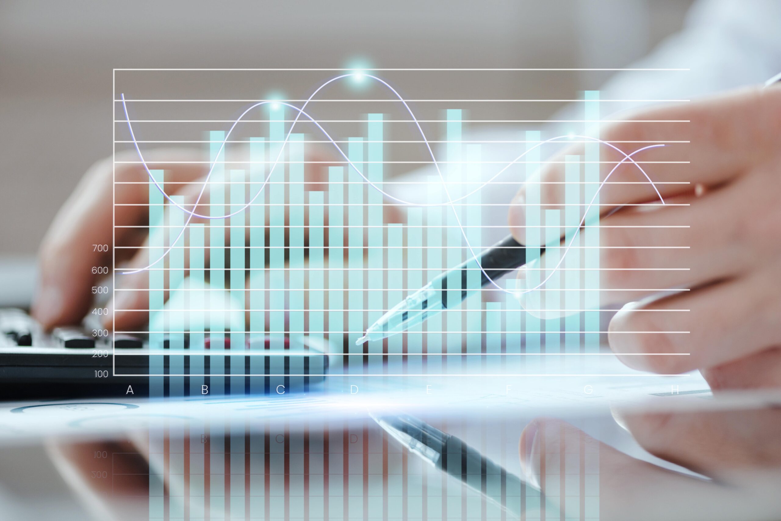 Turkish Leasing and Factoring Sectors, Economic Outlook 2024